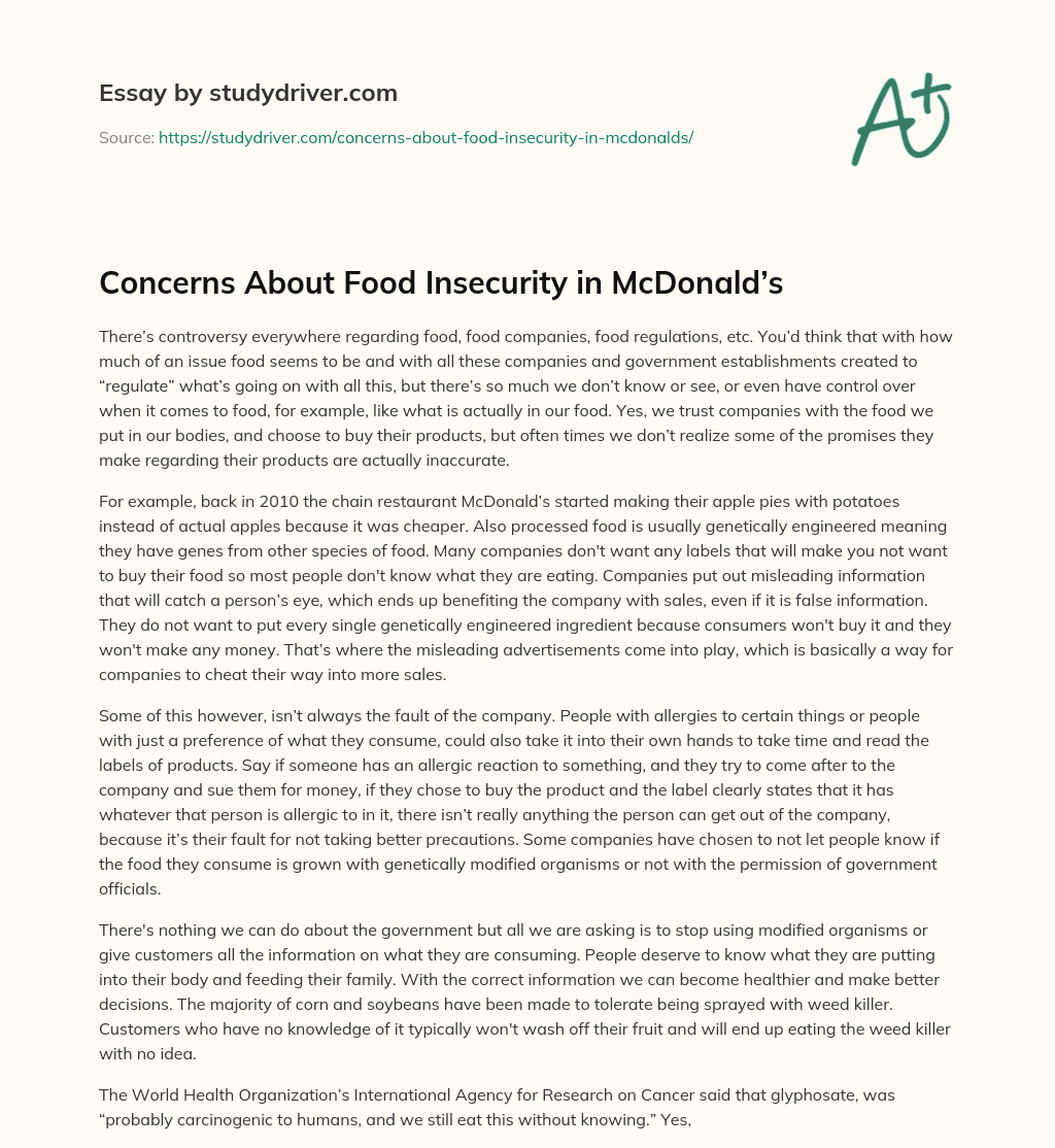 Concerns about Food Insecurity in McDonald’s essay