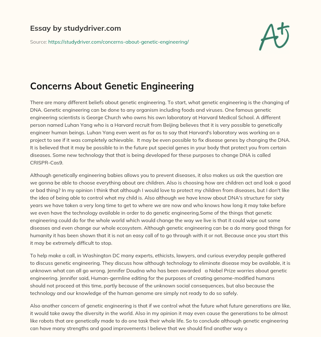 Concerns about Genetic Engineering essay