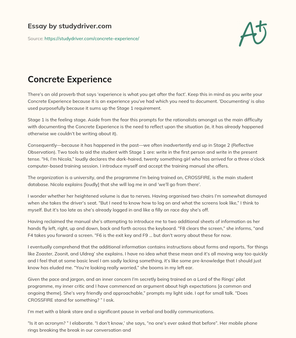 Concrete Experience essay