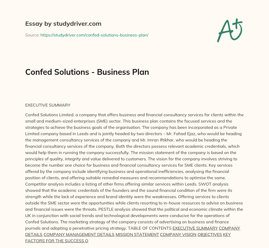 Confed Solutions – Business Plan essay