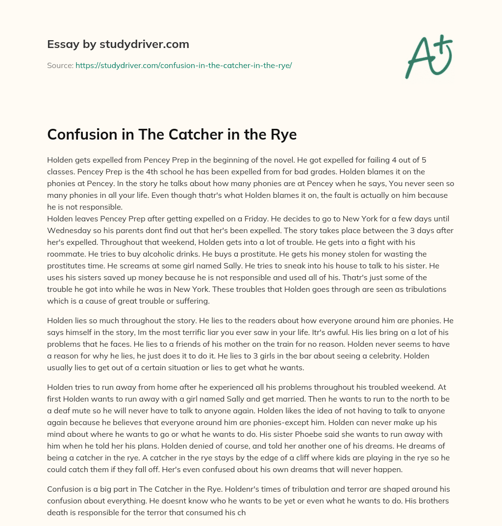 Confusion in the Catcher in the Rye essay