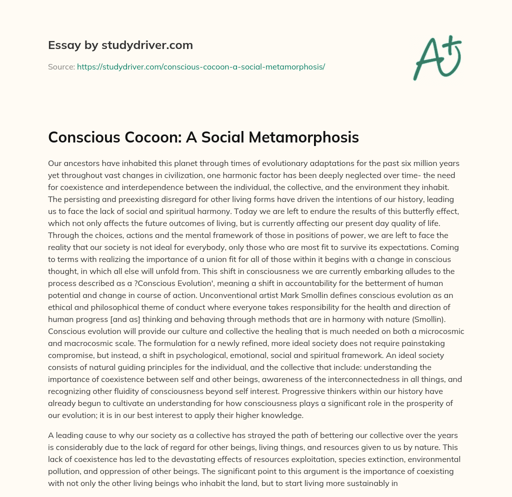 Conscious Cocoon: a Social Metamorphosis essay