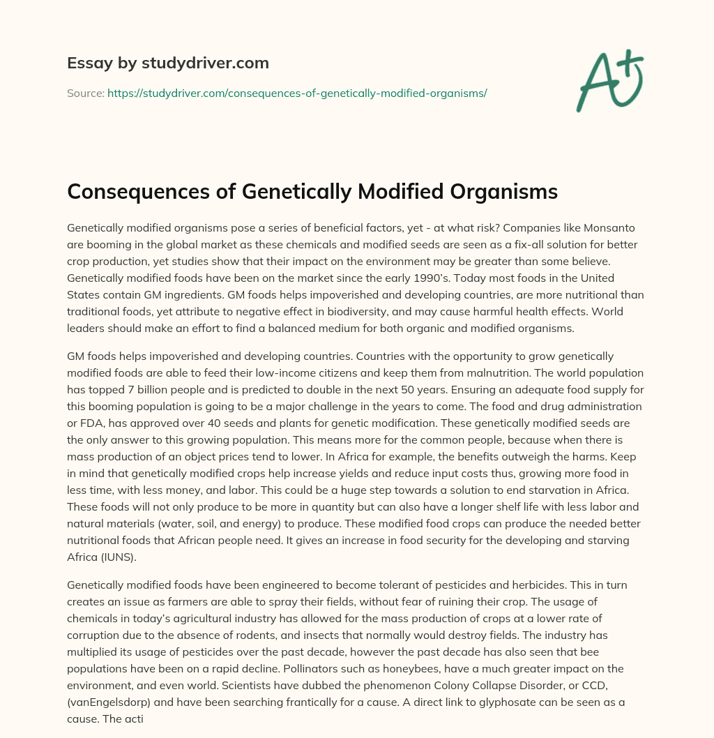 Consequences of Genetically Modified Organisms essay