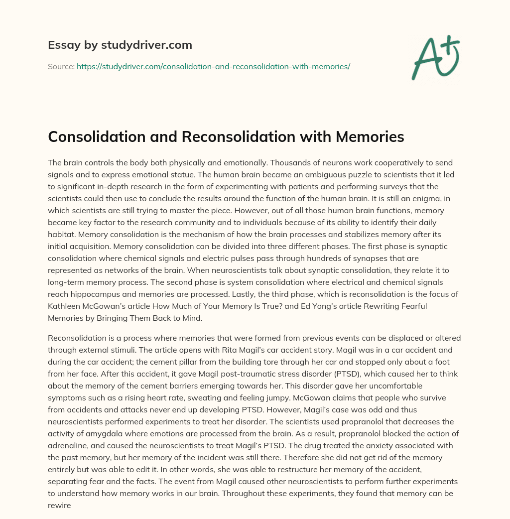 Consolidation and Reconsolidation with Memories essay