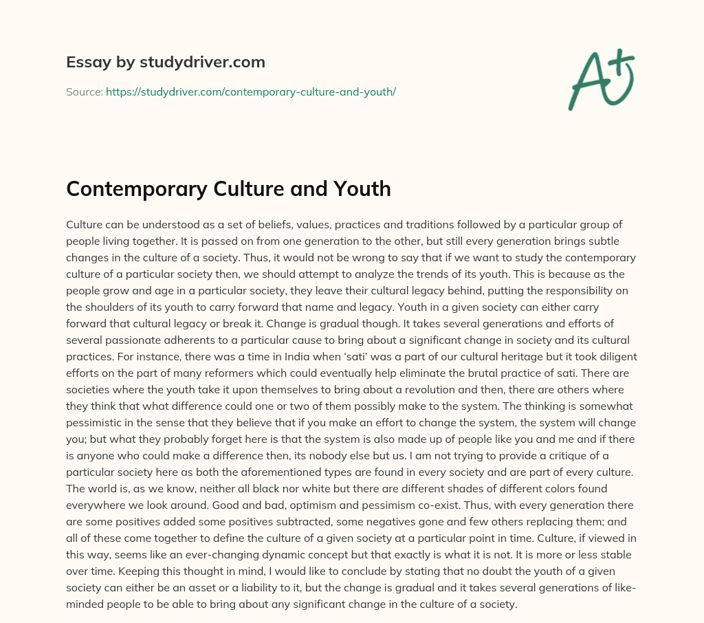 Contemporary Culture and Youth essay