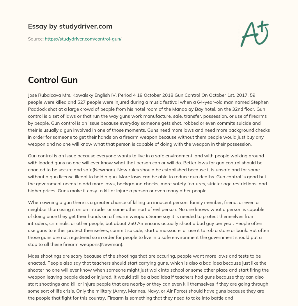 Control Gun essay