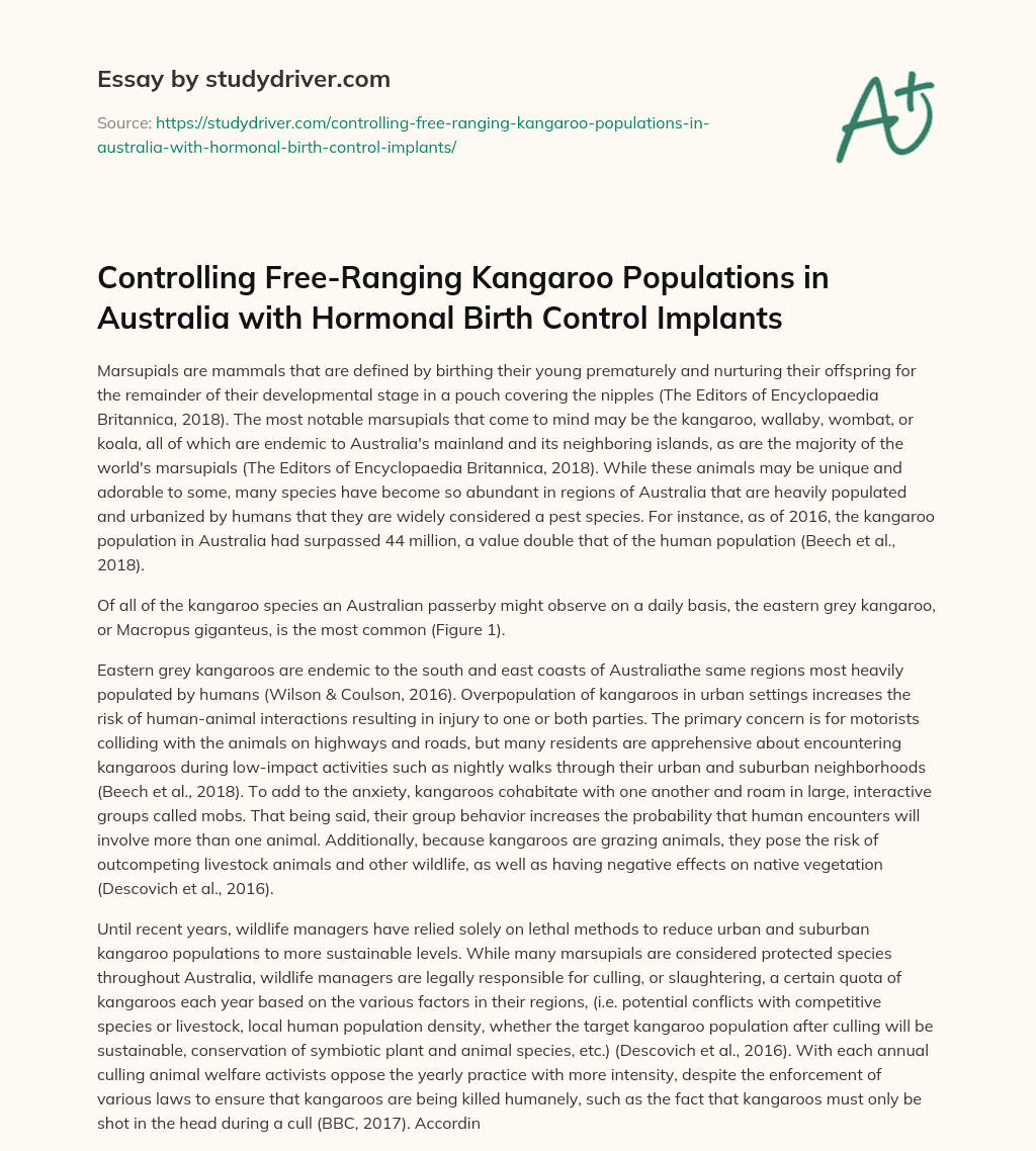 Controlling Free-Ranging Kangaroo Populations in Australia with Hormonal Birth Control Implants essay