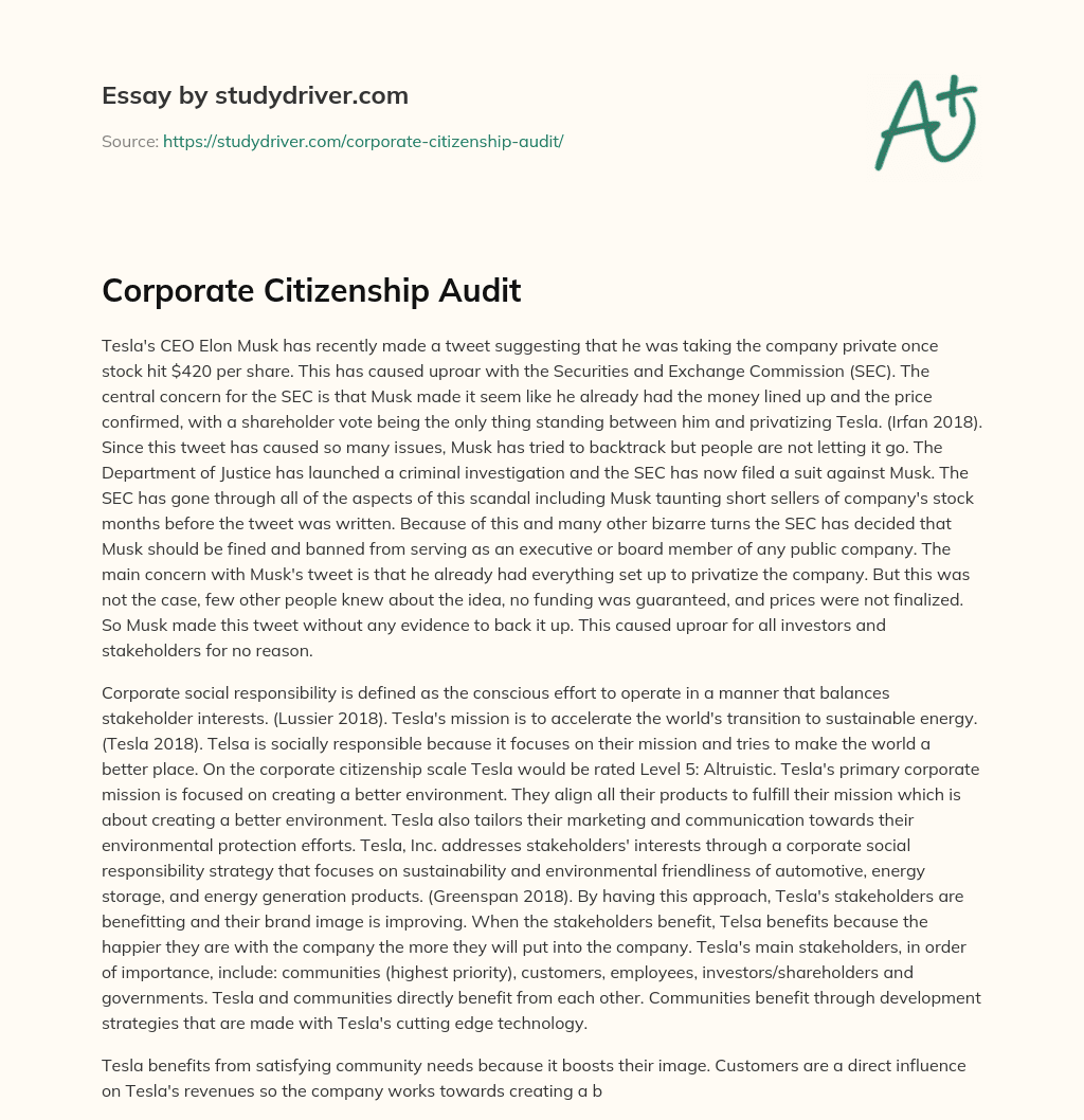 Corporate Citizenship Audit essay