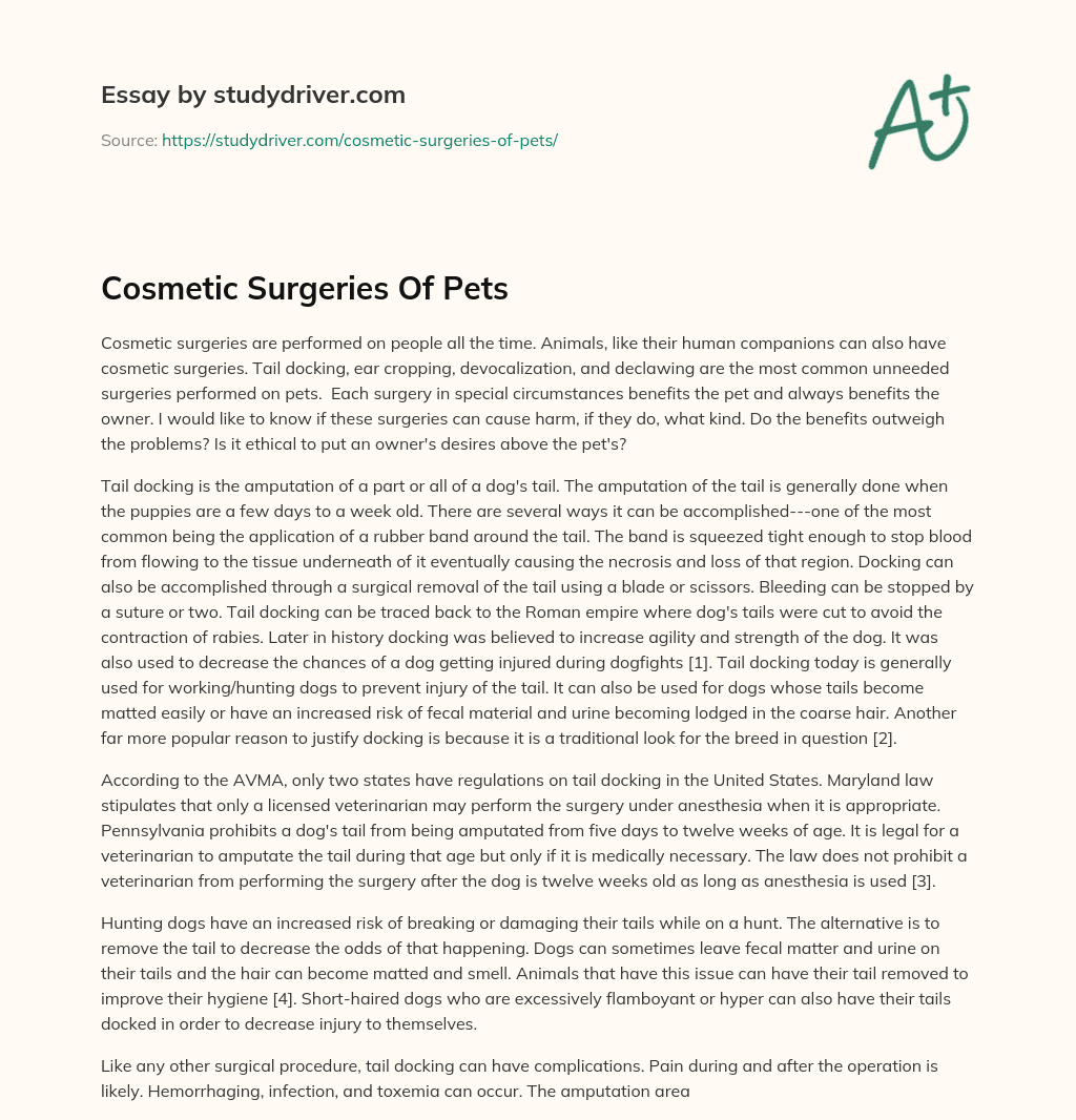 Cosmetic Surgeries of Pets essay