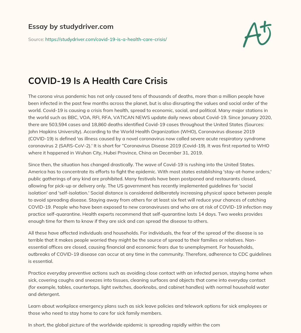 COVID-19 is a Health Care Crisis essay