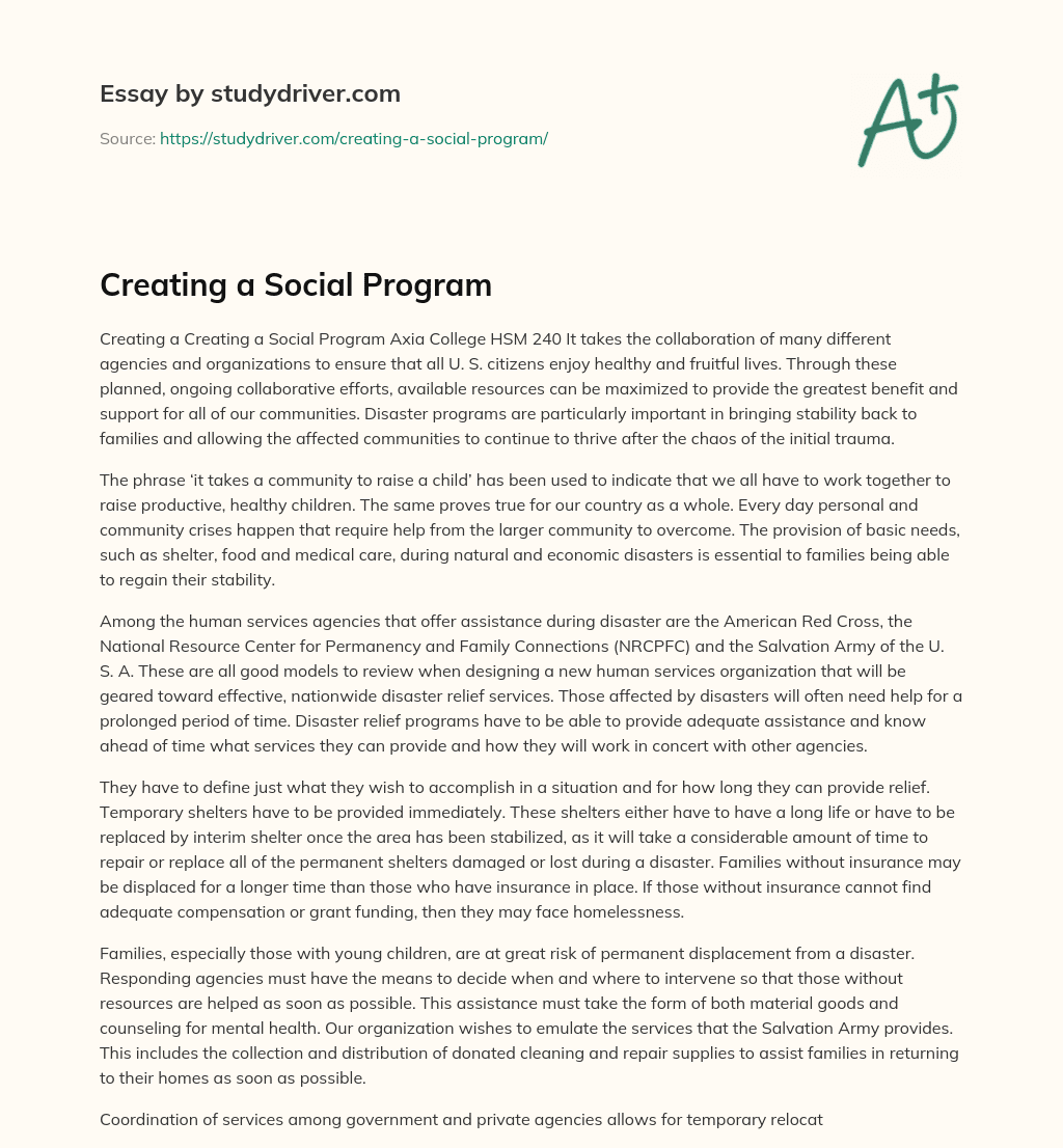 Creating a Social Program essay