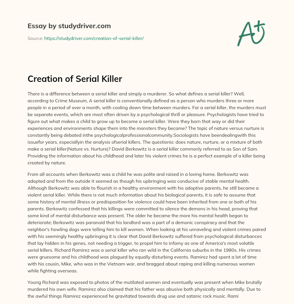 Creation of Serial Killer essay