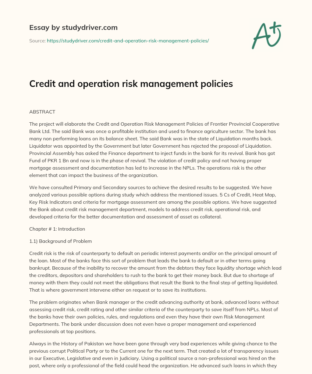 Credit and Operation Risk Management Policies essay