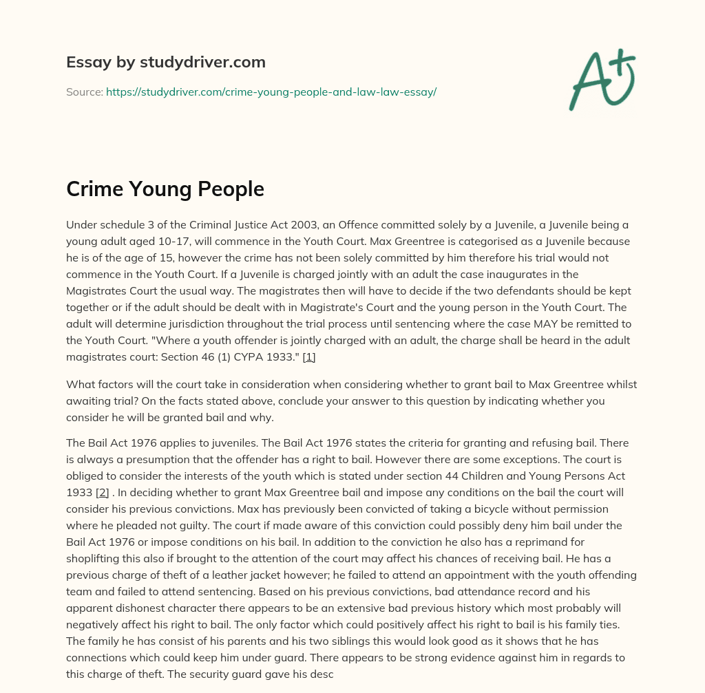 Crime Young People essay