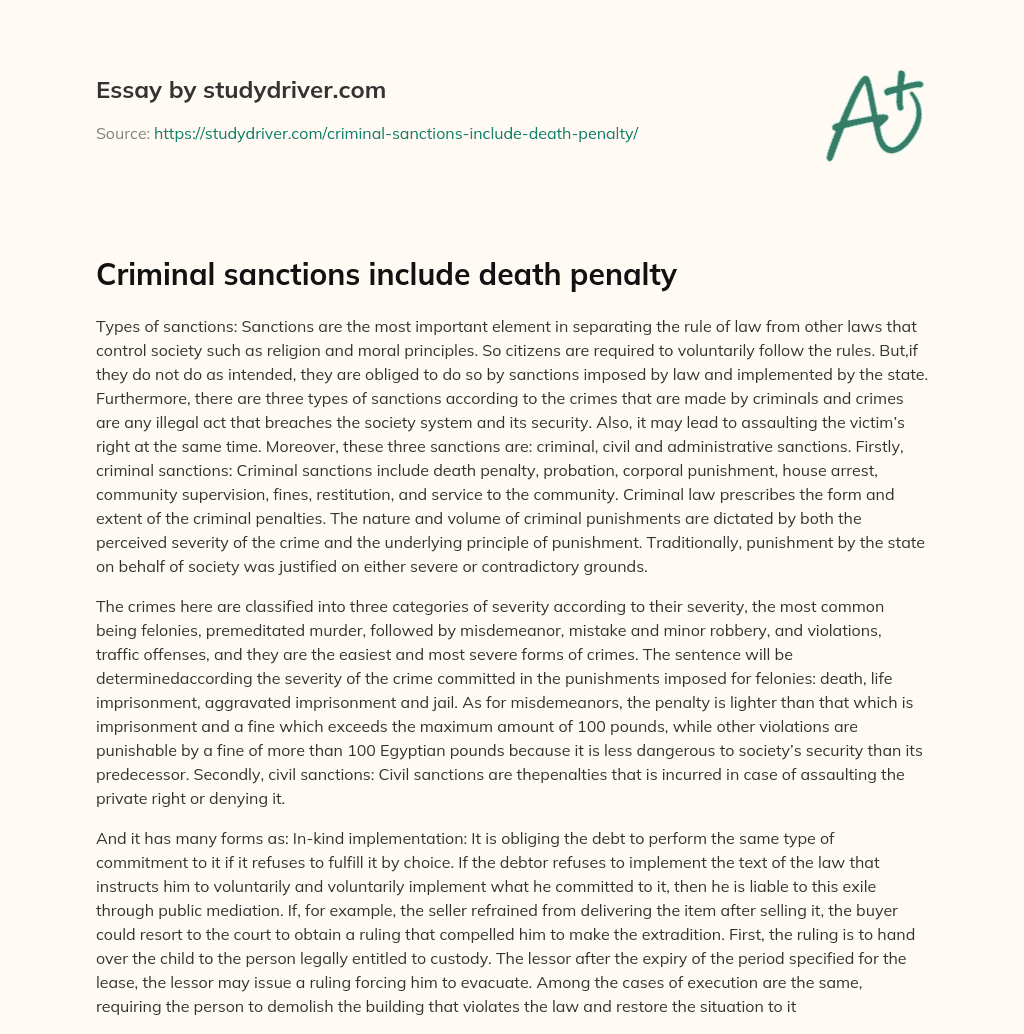 Criminal Sanctions Include Death Penalty essay