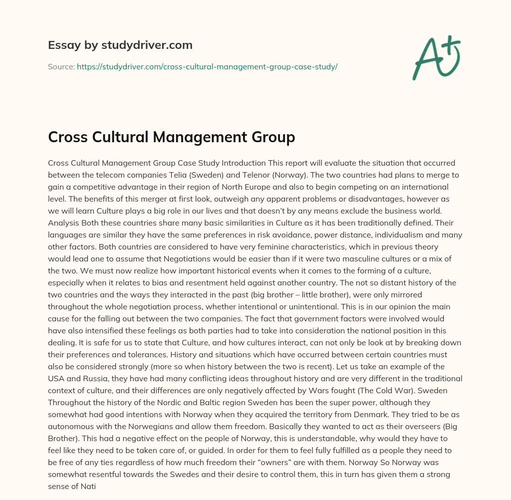 Cross Cultural Management Group essay