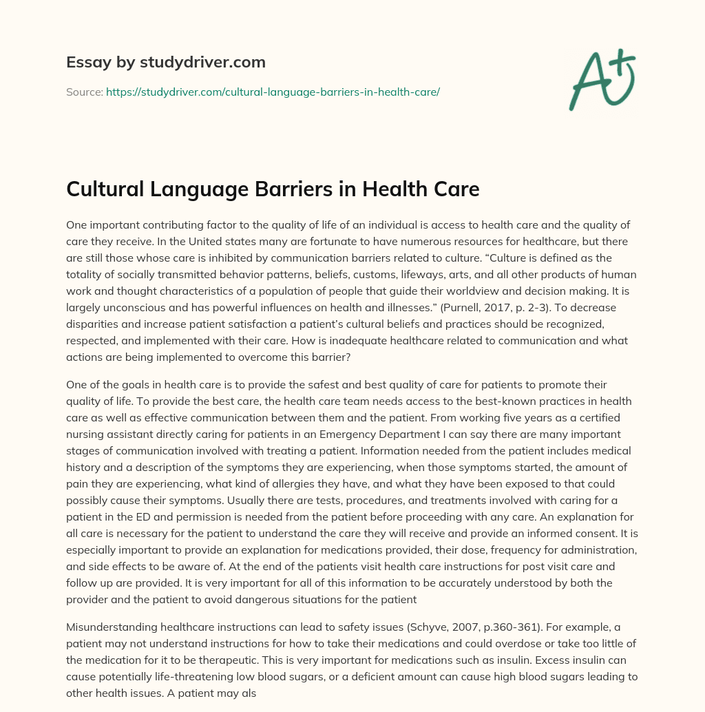 Cultural Language Barriers in Health Care essay