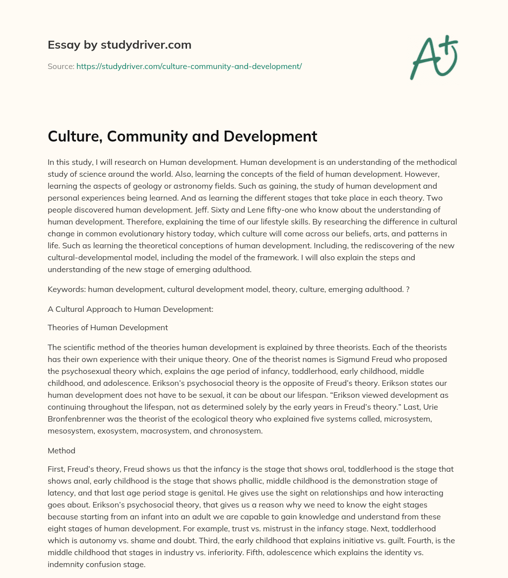 Culture, Community and Development essay