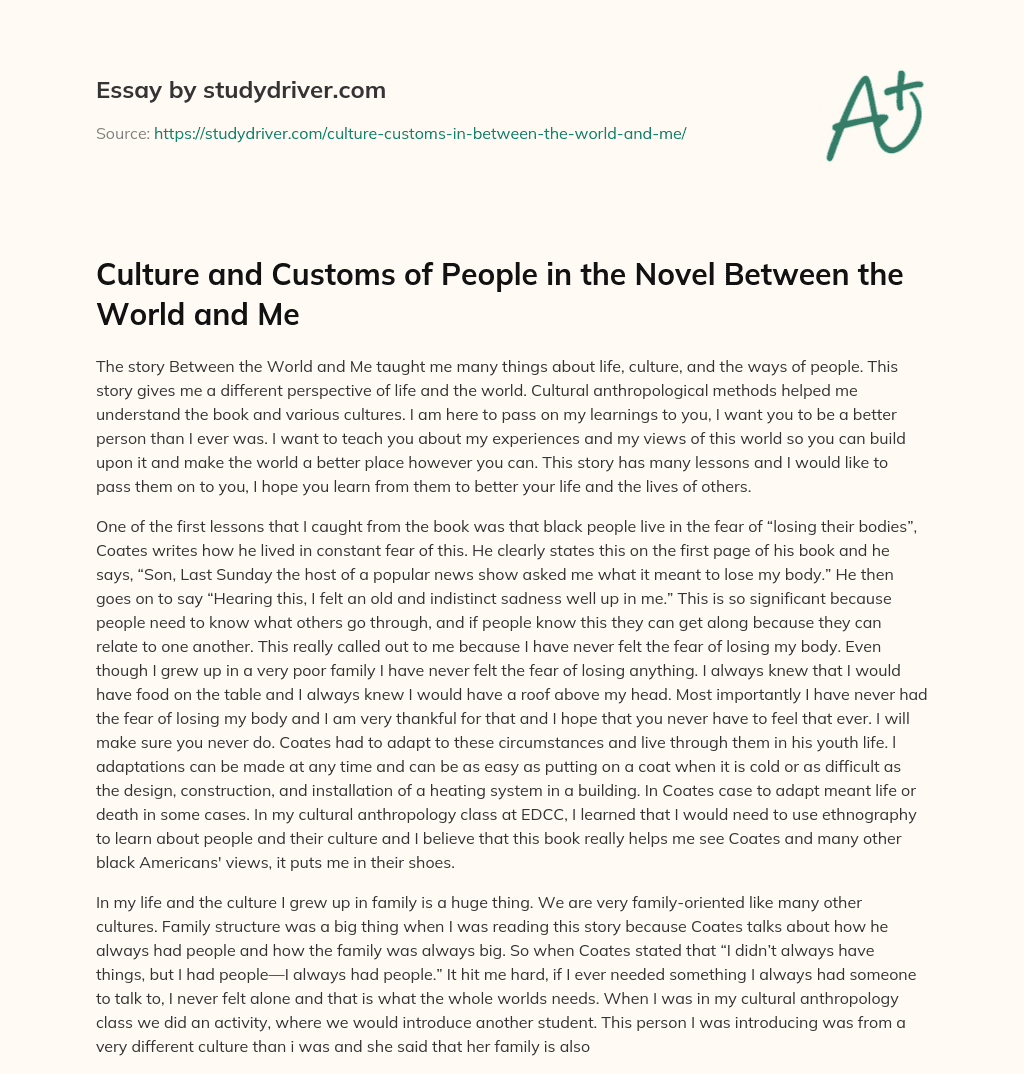 Culture and Customs of People in the Novel between the World and me essay