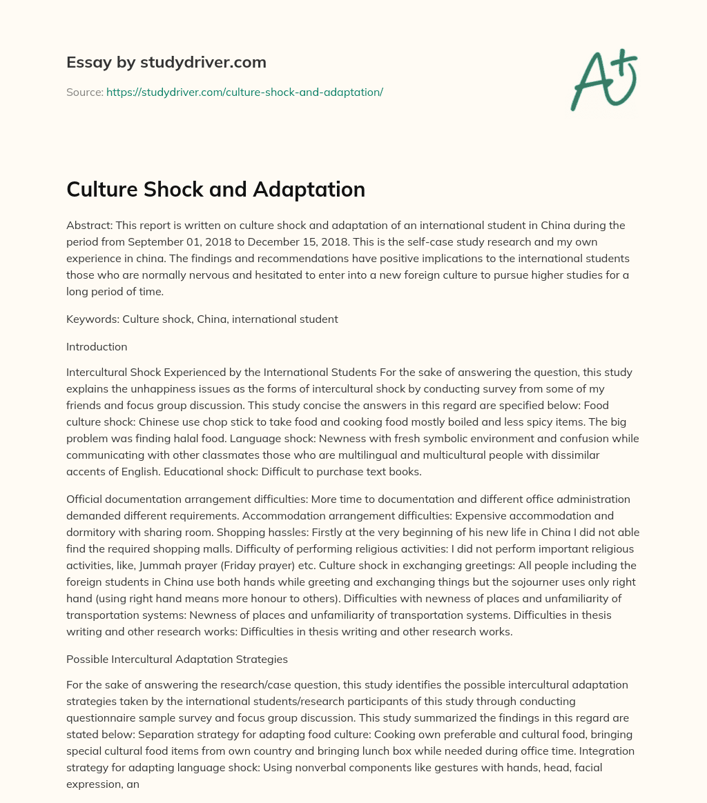 Culture Shock and Adaptation essay