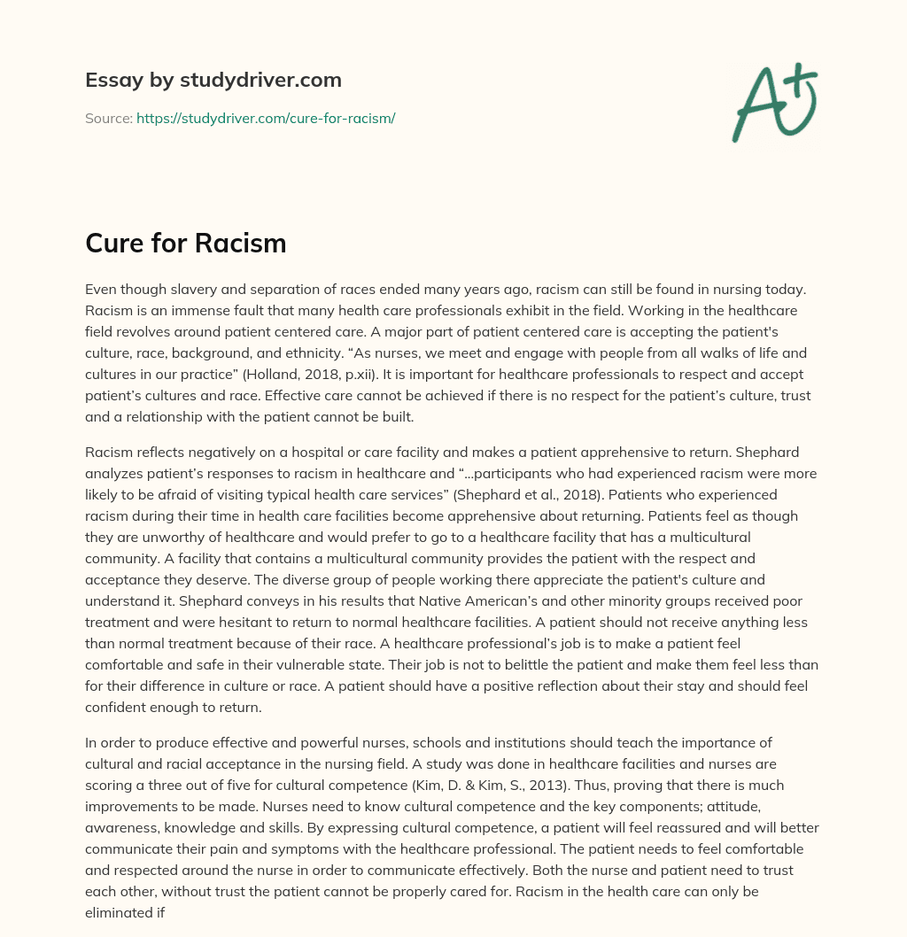 Cure for Racism essay