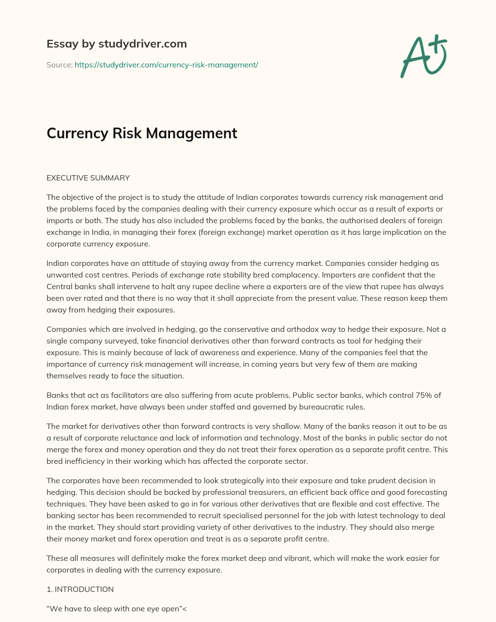 Currency Risk Management essay
