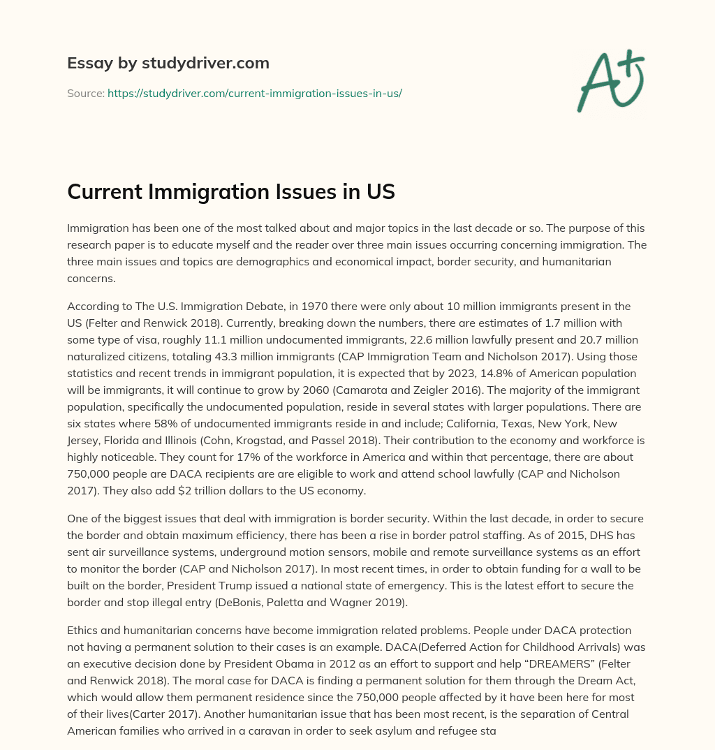 Current Immigration Issues in US essay