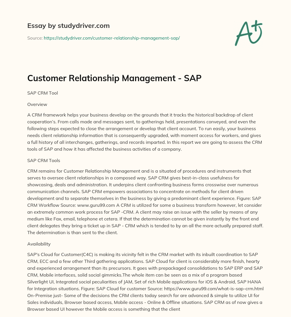 Customer Relationship Management – SAP essay