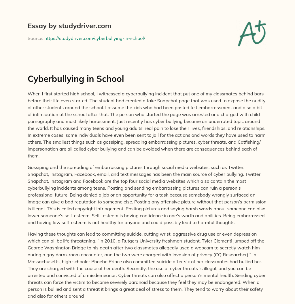 Cyberbullying in School essay