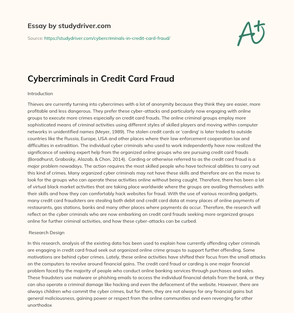 Cybercriminals in Credit Card Fraud essay