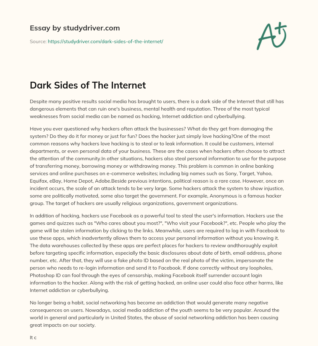 Dark Sides of the Internet essay