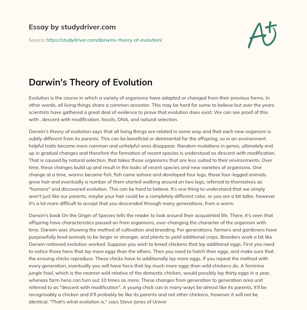 Darwin’s Theory of Evolution essay