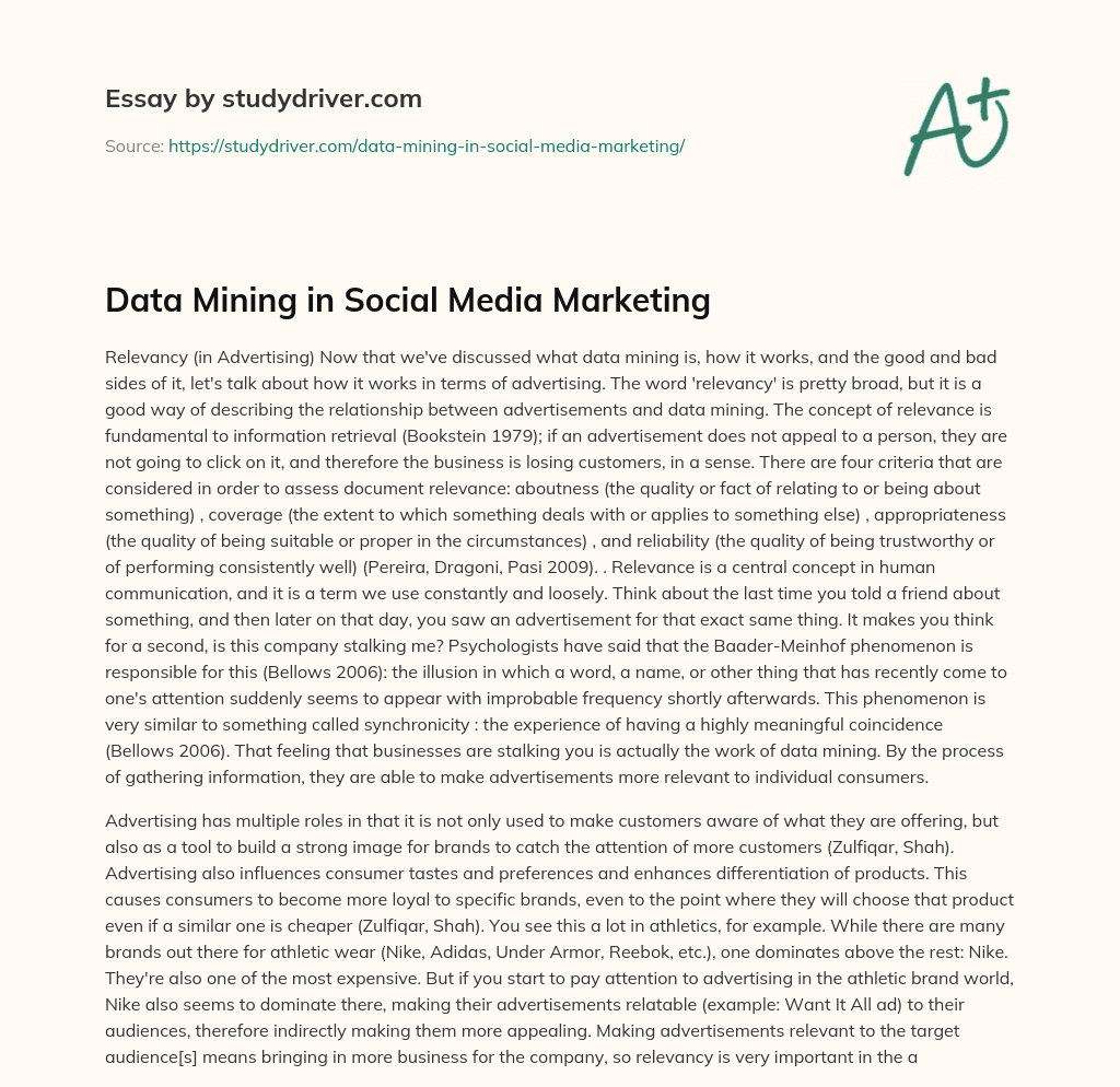 Data Mining in Social Media Marketing essay