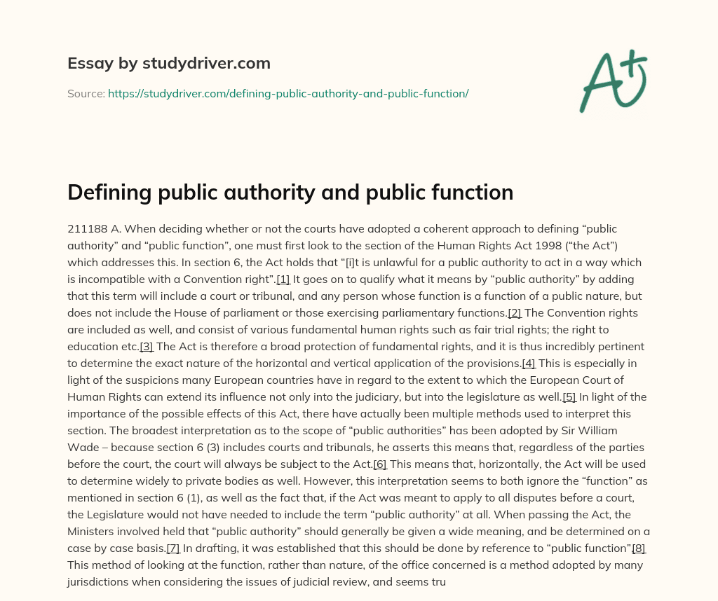 Defining Public Authority and Public Function essay