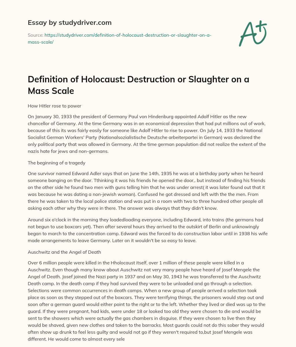 Definition of Holocaust: Destruction or Slaughter on a Mass Scale essay