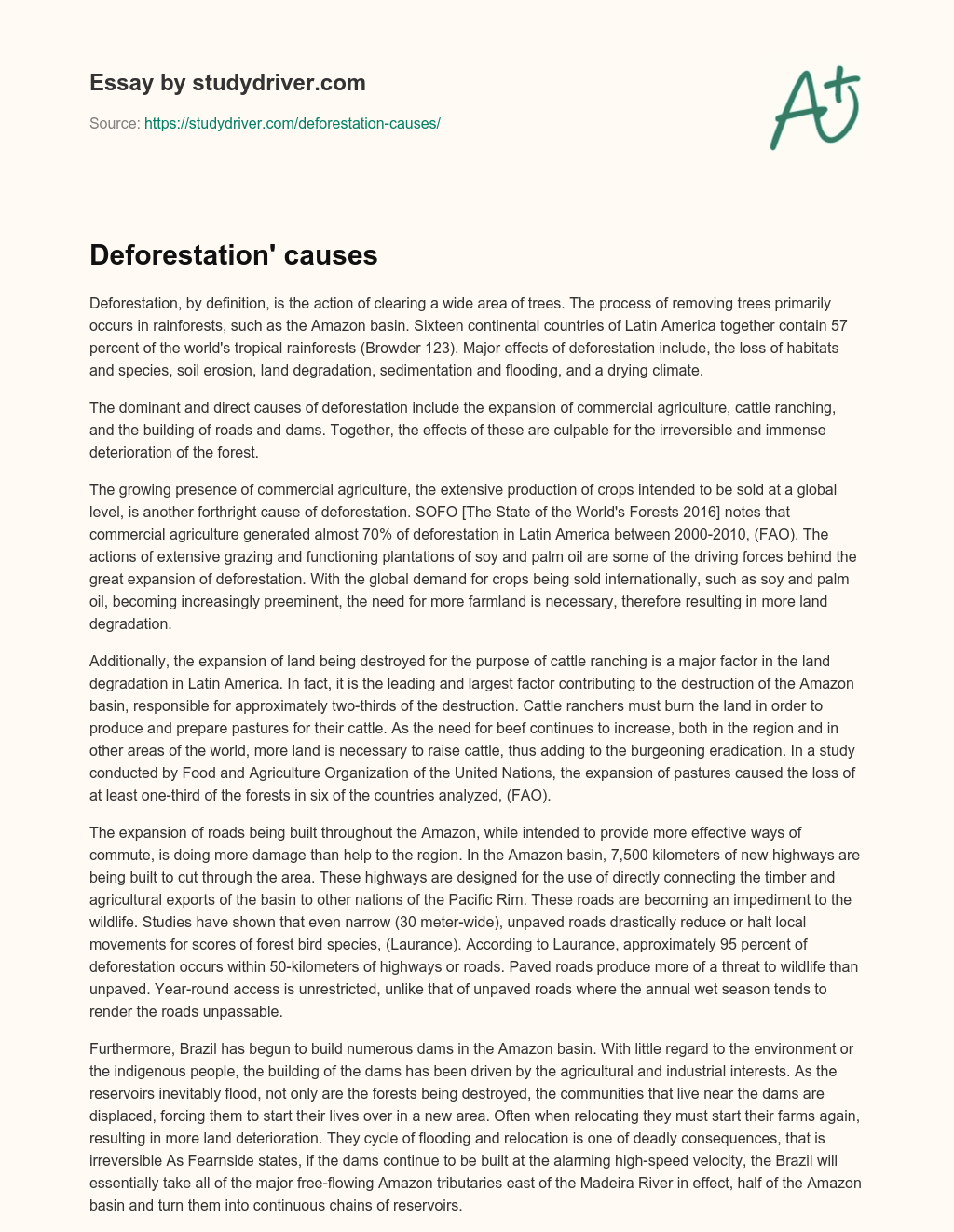 Deforestation’ Causes essay