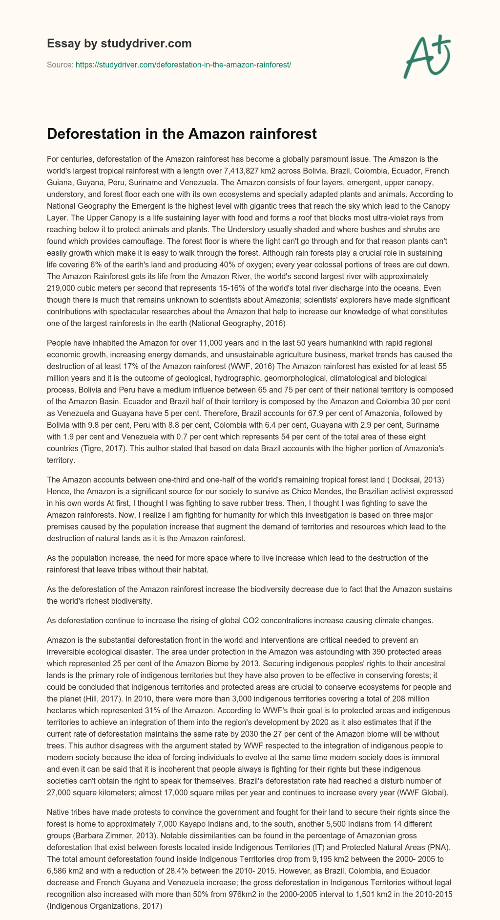 Deforestation in the Amazon Rainforest essay