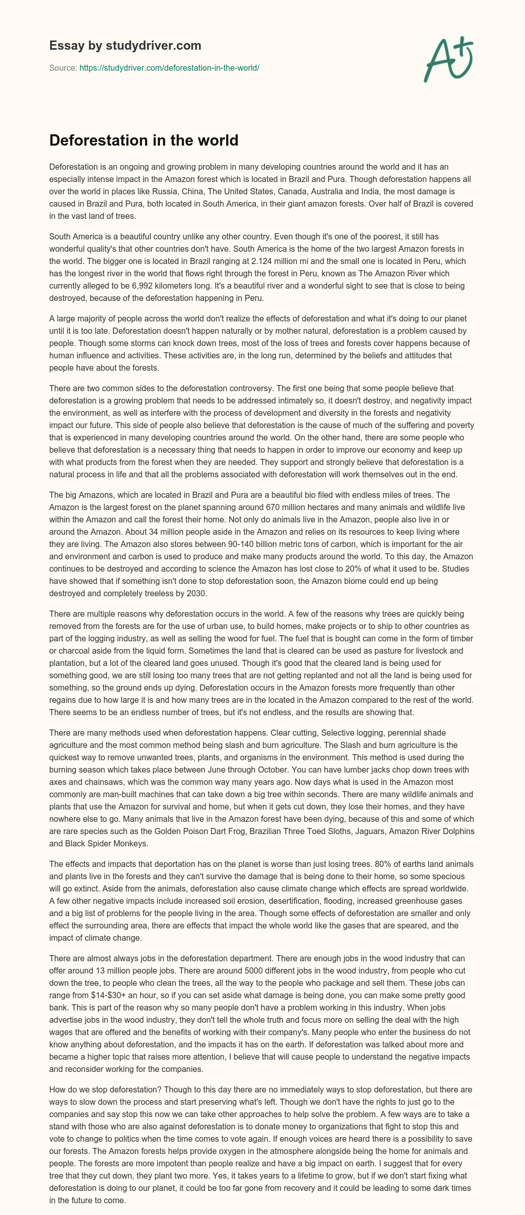 Deforestation in the World essay