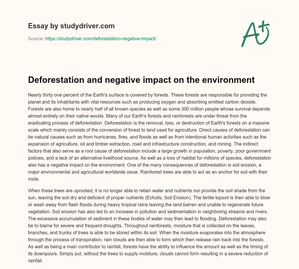 Deforestation and Negative Impact on the Environment essay