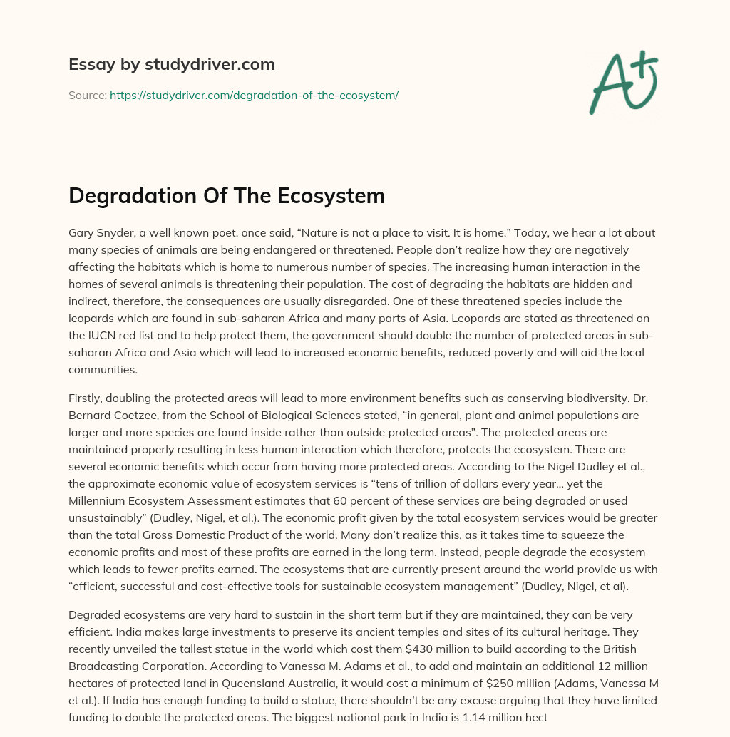Degradation of the Ecosystem essay