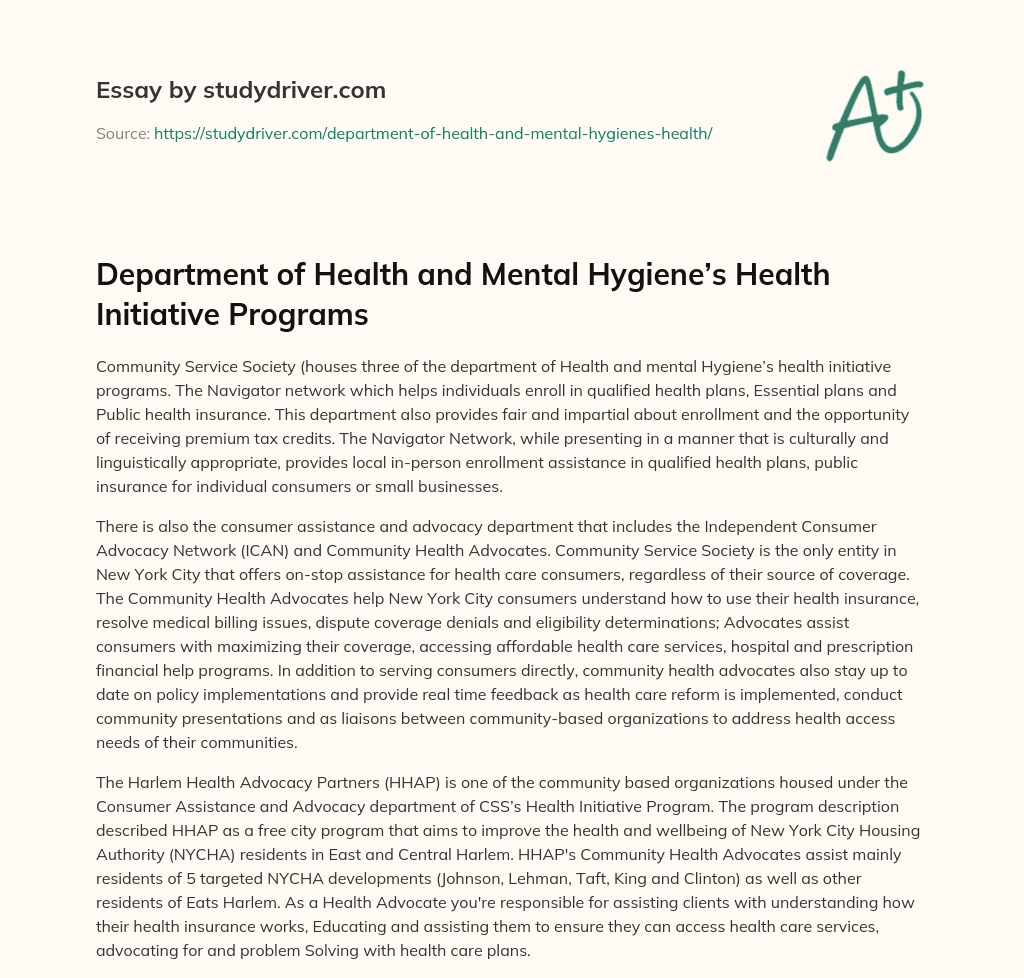Department of Health and Mental Hygiene’s Health Initiative Programs essay