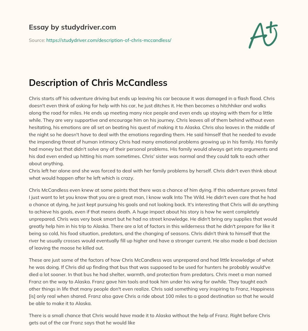 Description of Chris McCandless essay