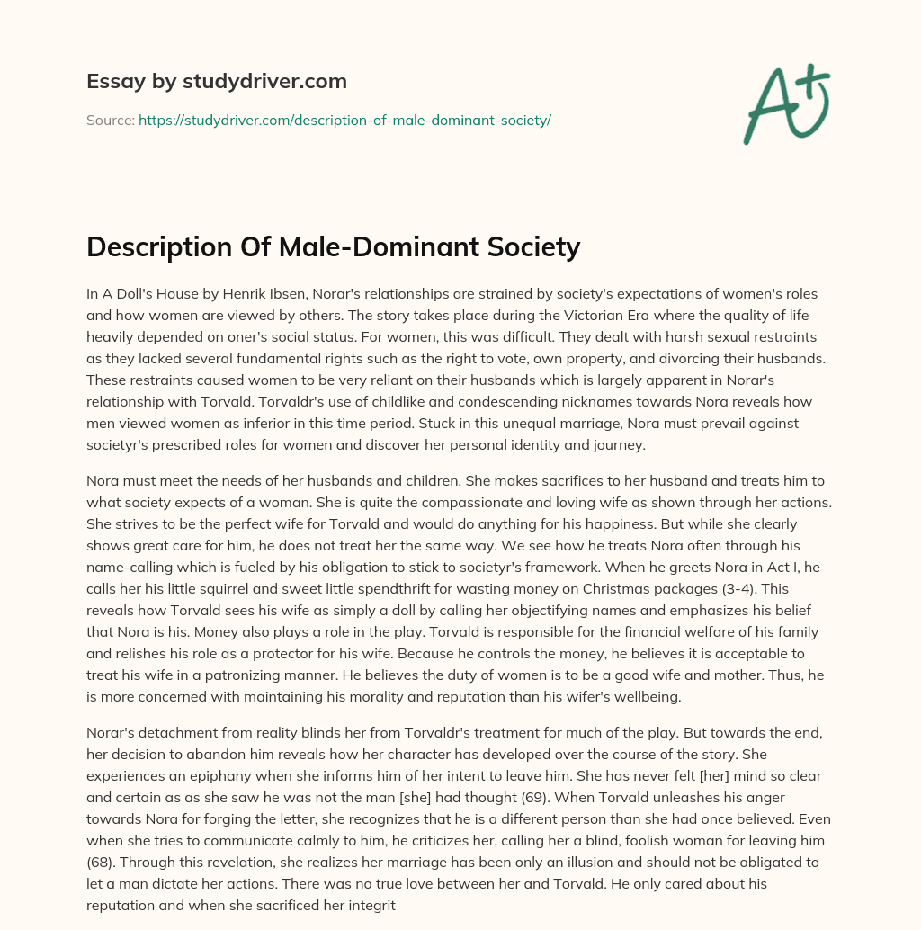 Description of Male-Dominant Society essay