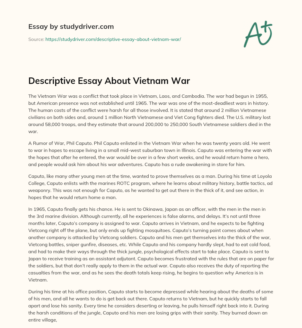 Descriptive Essay about Vietnam War essay