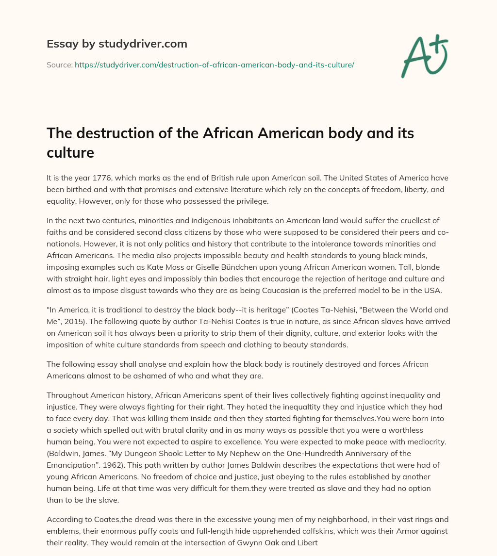 The Destruction of the African American Body and its Culture essay