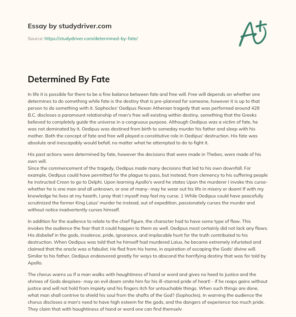 Determined by Fate essay