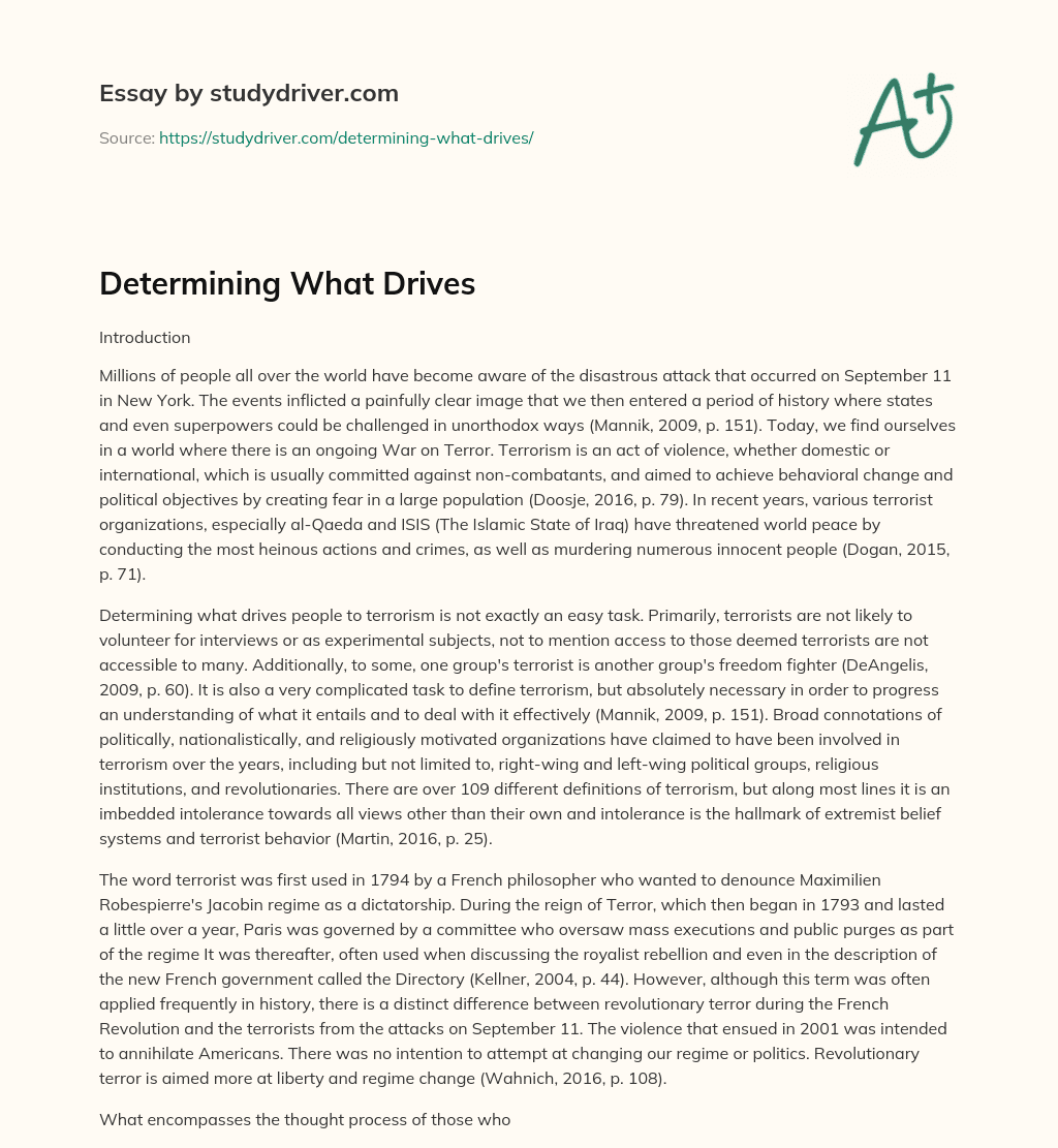 Determining what Drives essay