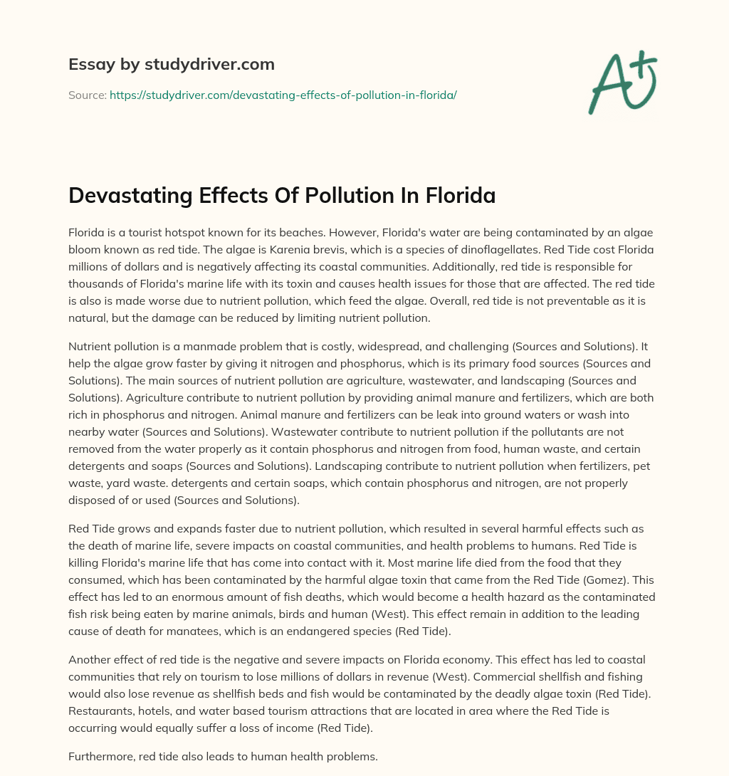 Devastating Effects of Pollution in Florida essay