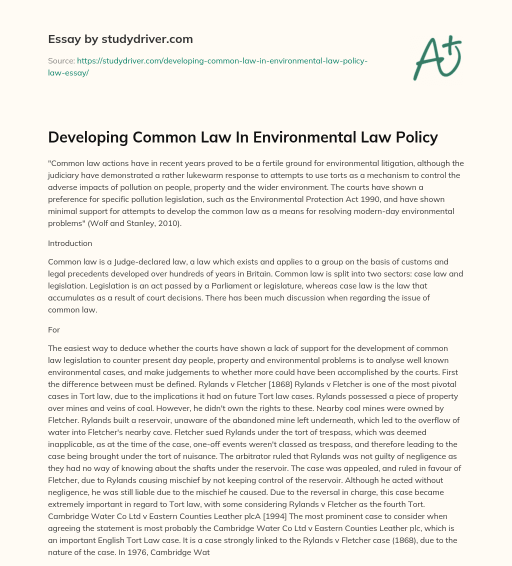 Developing Common Law in Environmental Law Policy essay