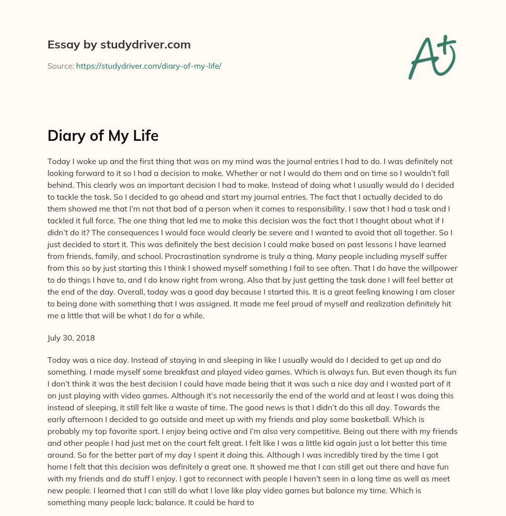 Diary of my Life essay